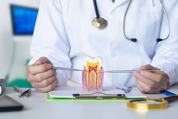 Best Cosmetic Emergency Dentistry in Massanetta Springs, VA